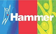 hammer-logo-small